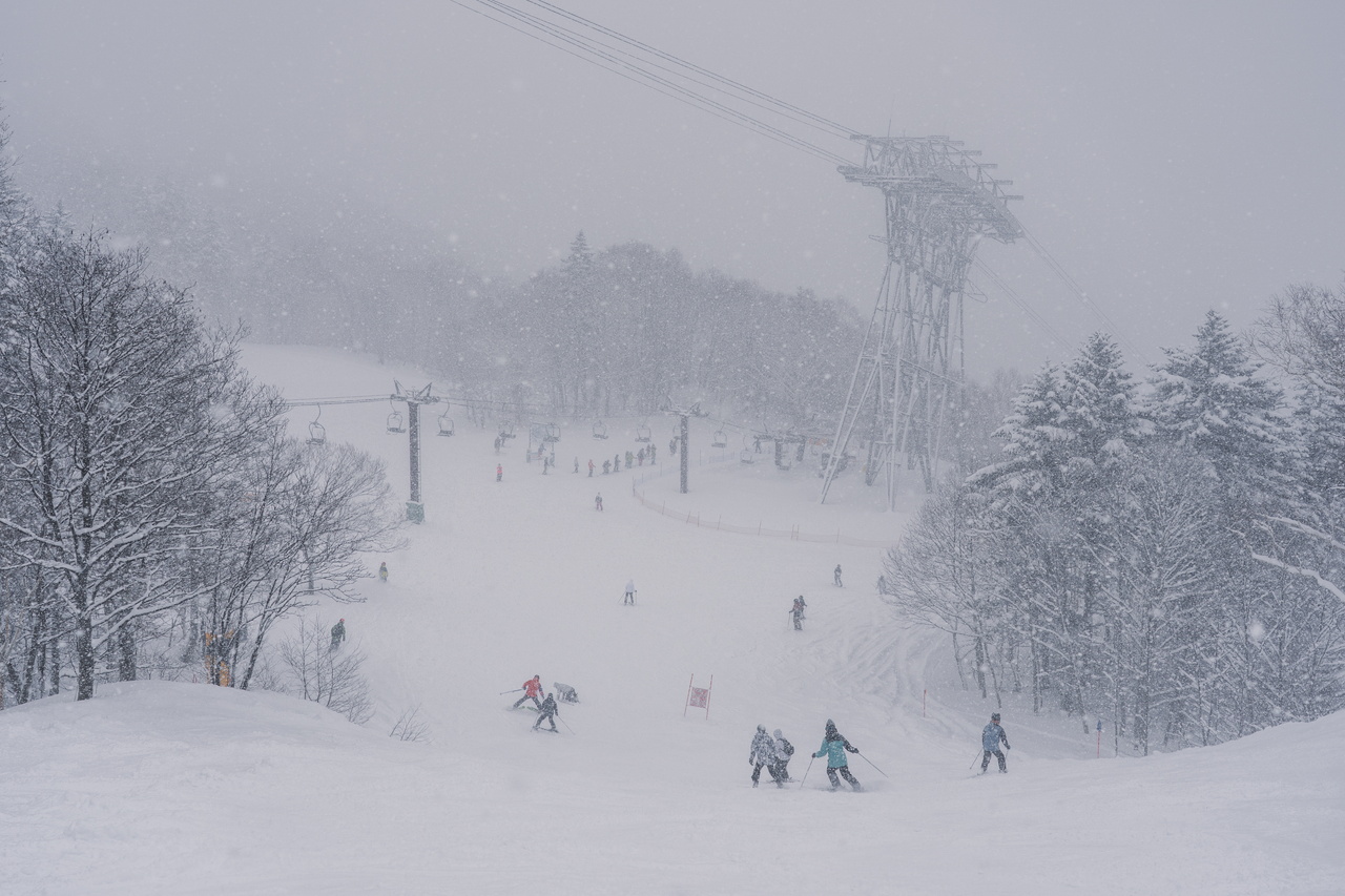 富良野スキー場｜数字以上に良い雪たっぷり！いよいよ『bonchi powder』本領発揮の季節到来です！